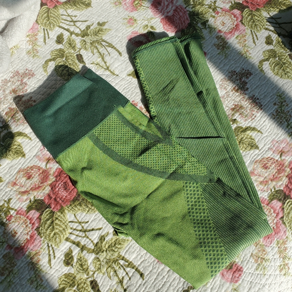 Fabletics seamless leggings